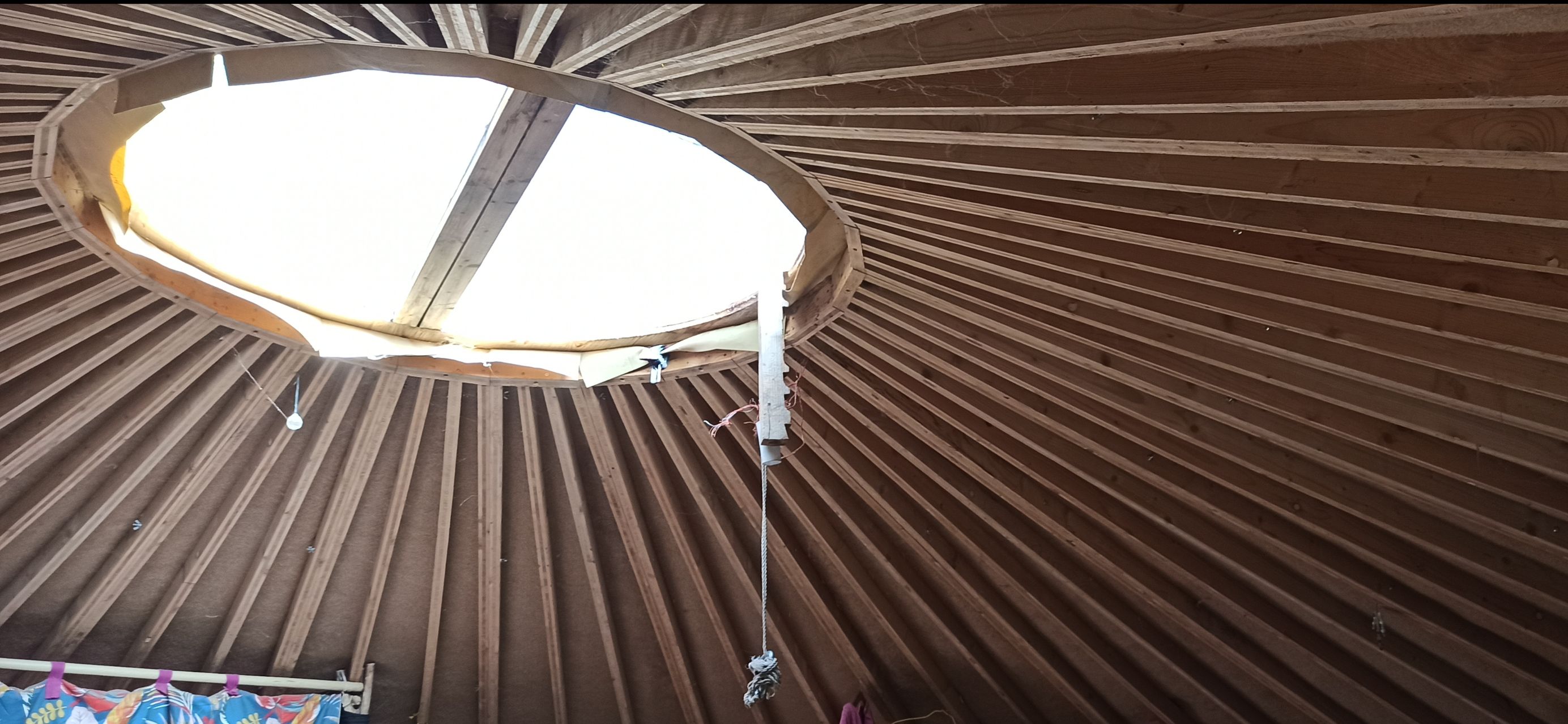 YourteConnect - Vend yourte contemporaine - 3