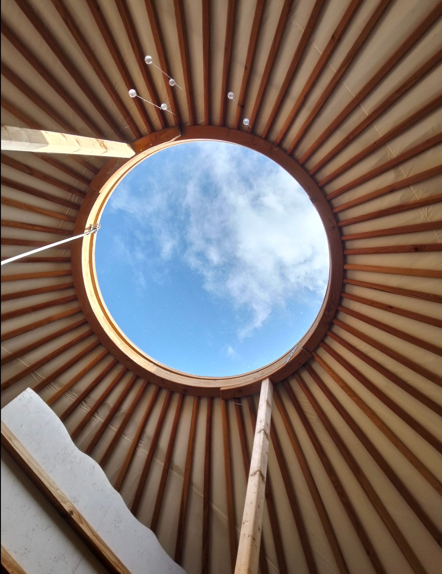 YourteConnect - Yourte contemporaine - 5