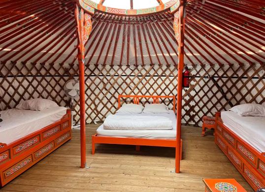 YourteConnect - Véritable Yourte Mongole 5 murs 28m2 - 3