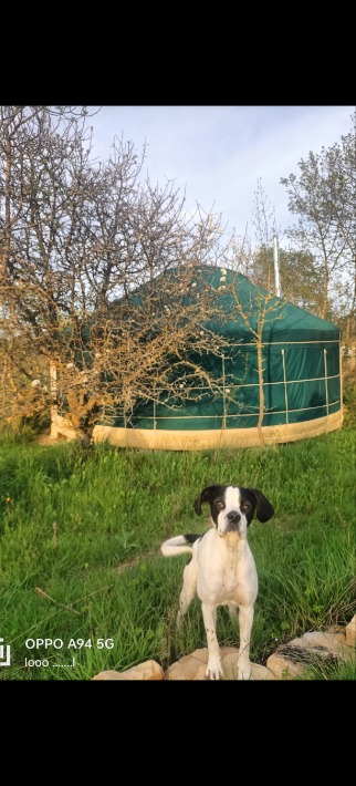 YourteConnect - Yourte 28m2 - 4