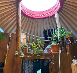 YourteConnect - Yourte contemporaine 7m - 3